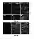 Fig. 09 - Methods For Treating Nicotinic Acetylcholine Receptor Associated Diseases