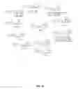 Fig. 18 - Compounds and methods for the treatment of cancer