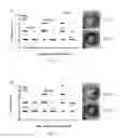Fig. 02 - Compositions and methods relating to treatment of infection