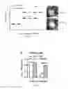Fig. 11 - Compositions and methods relating to treatment of infection