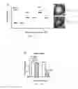 Fig. 14 - Compositions and methods relating to treatment of infection