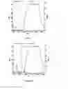 Fig. 10 - Glycosaminoglycans