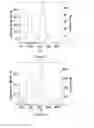 Fig. 13 - Glycosaminoglycans
