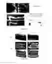 Fig. 29 - Glycosaminoglycans