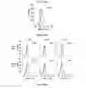 Fig. 55 - Glycosaminoglycans