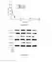 Fig. 56 - Glycosaminoglycans