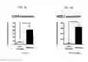Fig. 02 - COMPOSITIONS ENRICHED FOR HOX11+ STEM CELLS AND METHODS OF PREPARING THE SAME