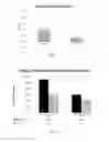 Fig. 05 - Methods for treating age-related organ or tissue dysfunction through heterochronic transbiosis using nonviable pluripotent stem cells
