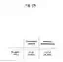 Fig. 05 - Agent for inducing interferon production containing lactic acid bacteria