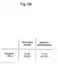 Fig. 06 - Agent for inducing interferon production containing lactic acid bacteria