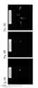 Fig. 08 - Agent for inducing interferon production containing lactic acid bacteria