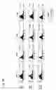 Fig. 13 - Agent for inducing interferon production containing lactic acid bacteria