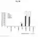 Fig. 18 - Agent for inducing interferon production containing lactic acid bacteria