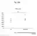 Fig. 30 - Agent for inducing interferon production containing lactic acid bacteria
