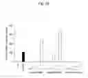 Fig. 34 - Agent for inducing interferon production containing lactic acid bacteria