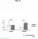 Fig. 44 - Agent for inducing interferon production containing lactic acid bacteria