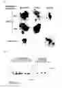 Fig. 02 - Antiobesity agent containing walnut extract