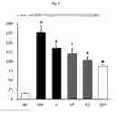 Fig. 04 - COMPOSITION FOR PREVENTING AND TREATING NON-ALCOHOLIC FATTY LIVER DISEASES