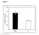 Fig. 02 - Compositions based on saffron for the prevention and/or treatment of degenerative eye disorders