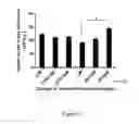 Fig. 04 - COMPOSITION FOR PREVENTING AND TREATING MALE INFERTILITY, CONTAINING MIXED HERBAL EXTRACT AS ACTIVE INGREDIENT AND USE THEREOF