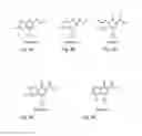 Fig. 05 - Antimicrobial 4-oxoquinolizines