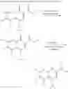 Fig. 201 - Antimicrobial 4-oxoquinolizines