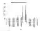 Fig. 11 - METHOD FOR DIAGNOSING AND TREATING CANCER USING NAIVE STATE STEM CELL SPECIFIC GENES