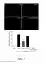 Fig. 08 - METHODS OF USING GAP JUNCTIONS AS THERAPEUTIC TARGETS FOR THE TREATMENT OF DEGENERATIVE DISORDERS OF THE RETINA