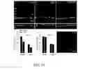 Fig. 12 - METHODS OF USING GAP JUNCTIONS AS THERAPEUTIC TARGETS FOR THE TREATMENT OF DEGENERATIVE DISORDERS OF THE RETINA