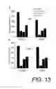 Fig. 14 - METHODS OF USING GAP JUNCTIONS AS THERAPEUTIC TARGETS FOR THE TREATMENT OF DEGENERATIVE DISORDERS OF THE RETINA