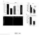 Fig. 15 - METHODS OF USING GAP JUNCTIONS AS THERAPEUTIC TARGETS FOR THE TREATMENT OF DEGENERATIVE DISORDERS OF THE RETINA
