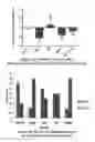 Fig. 02 - Methods of treating incontinence and other sphincter deficiency disorders