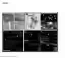 Fig. 12 - Composition and method for treating nucleic acid-related eye disease