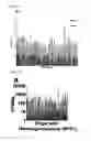 Fig. 06 - REDUCTION OF EGFR THERAPEUTIC TOXICITY
