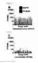 Fig. 07 - REDUCTION OF EGFR THERAPEUTIC TOXICITY