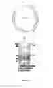 Fig. 15 - Biomarker directed multi-target immunotherapy