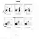 Fig. 18 - Biomarker directed multi-target immunotherapy