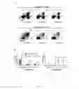 Fig. 19 - Biomarker directed multi-target immunotherapy