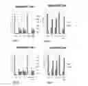 Fig. 24 - Biomarker directed multi-target immunotherapy