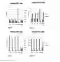 Fig. 25 - Biomarker directed multi-target immunotherapy