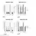 Fig. 29 - Biomarker directed multi-target immunotherapy