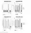 Fig. 32 - Biomarker directed multi-target immunotherapy