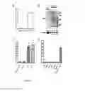 Fig. 43 - Biomarker directed multi-target immunotherapy