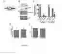 Fig. 44 - Biomarker directed multi-target immunotherapy