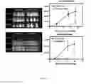 Fig. 69 - Biomarker directed multi-target immunotherapy