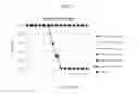 Fig. 10 - Influenza virus vectors and uses therefor