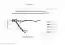 Fig. 16 - Influenza virus vectors and uses therefor