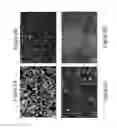 Fig. 03 - Liposome-peptide conjugate and method of using same to induce production of anti-HIV antibodies