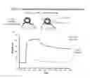 Fig. 15 - Liposome-peptide conjugate and method of using same to induce production of anti-HIV antibodies