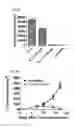 Fig. 05 - CYTOKINE-CHITOSAN BIOCONJUGATES AND METHODS OF USING THE SAME